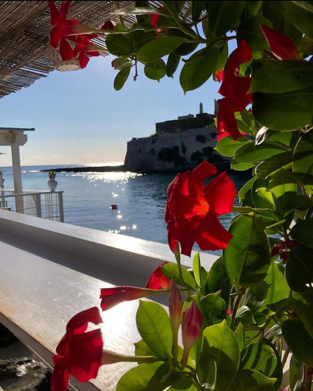 Casa Carlotta Villa Monopoli Bagian luar foto